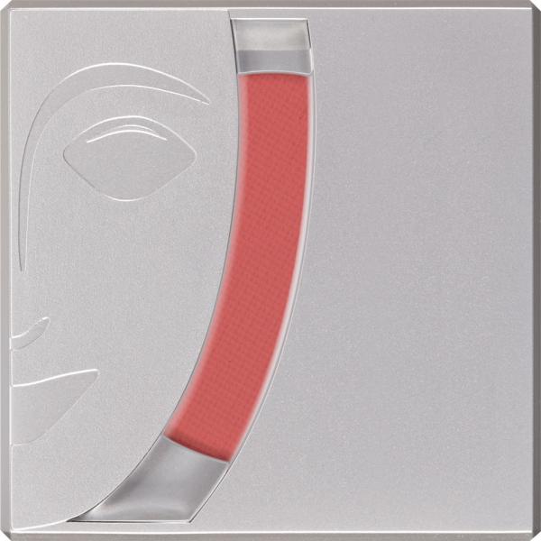 Blusher - W 307
